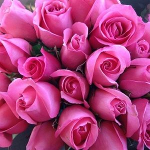 Meet your Posher, Mika